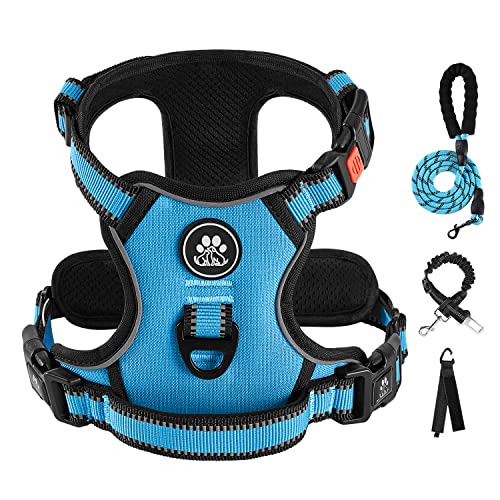 IVY&LANE No Pull Dog Harness for Large Dogs, Dog Vest Harness with Leash, Safety Belt and Storage Strap, Fully Adjustable Harness, 360° Reflective Strip, Soft Handle (Blue, L)