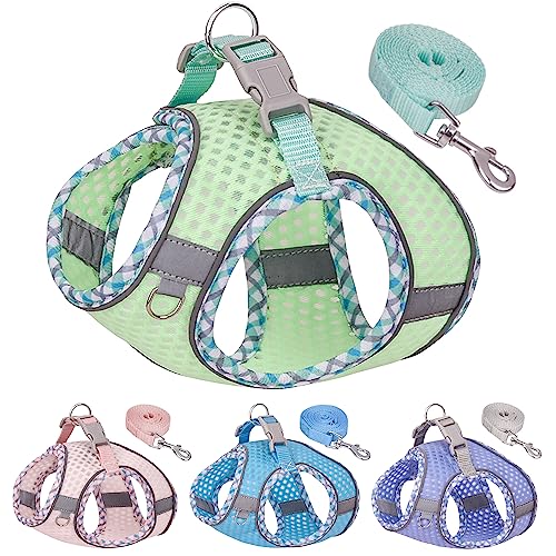 JOYPAWS Soft Dog Harness and Leash Set for Walking, Summer Step in Vest Harness, Reflective Bands, Ultra Thin Breathable Pet Supplies, for Extra Small Dogs and House Cats Sage XS