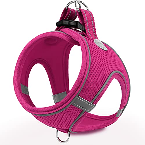 Joytale Step in Dog Harness,12 Colors,Breathable Mesh Vest Harness,Reflective Soft Padded Harnesses for Extra Small and Small Dogs,HotPink,S