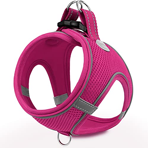 Joytale Step in Dog Harness,12 Colors,Breathable Mesh Vest Harness,Reflective Soft Padded Harnesses for Puppies and Extra Small Dogs,HotPink,XS