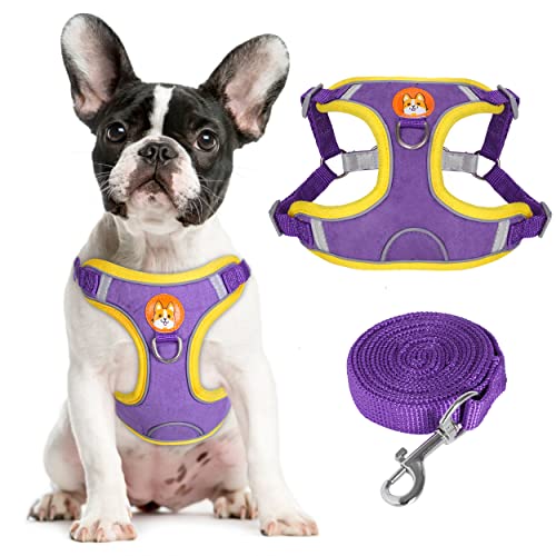 Jumpress Soft No Pull Small Dog Harness and Leash Set with Durable Front Clip & Back Clip, Safety Reflective Puppy Dog Vest Harness with 5ft Leash Lightweight for Daily Walking (Purple,S)