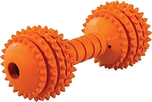 JW Pet Chompion Heavyweight Dog Chew Toy for Small Breeds, Assorted Colors