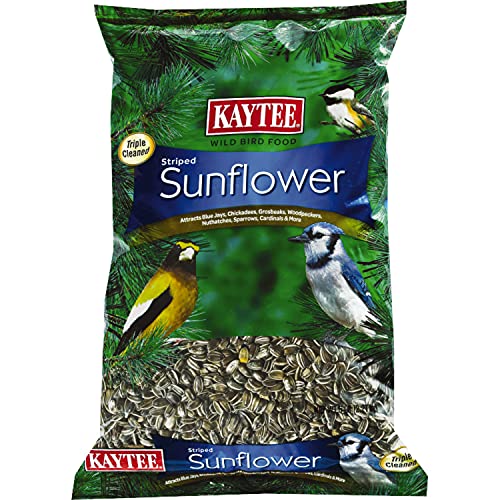 Kaytee Striped Sunflower Wild Bird Food 5 Pounds