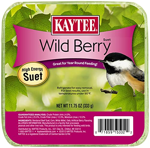 Kaytee Wild Berry High Energy Bird Suet, 11.75 Oz