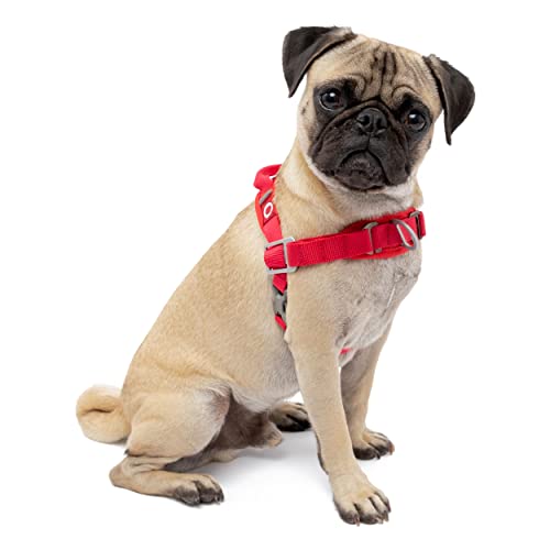 Kurgo Dog Harness | No Pull Pet Walking Harness | Harnesses for Dogs or Pets | Adjustable | Reflective | Easy Control | Walk About Harness | Red (X-Small)