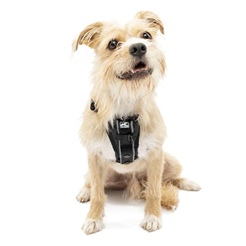 Kurgo Dog Harness | Pet Walking Harness | Extra Small | Black | No Pull Harness Front Clip Feature for Training Included | Car Seat Belt | Tru-Fit Quick Release Style