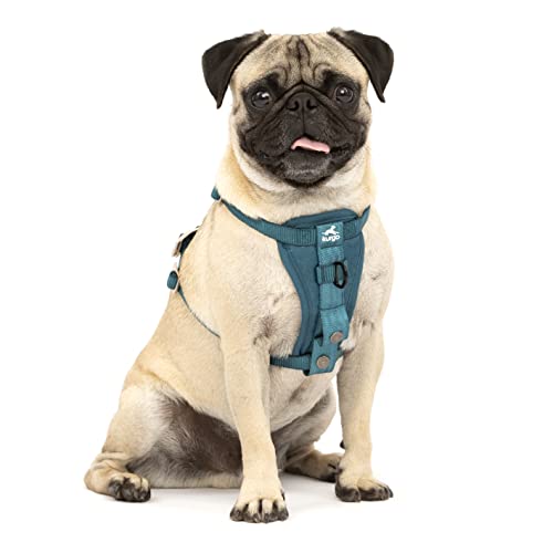 Kurgo Tru-Fit Enhanced Strength Dog Harness - Crash Tested Car Safety Harness for Dogs, No Pull Dog Harness, Includes Pet Safety Seat Belt, Steel Nesting Buckles (Ink Blue, Small)