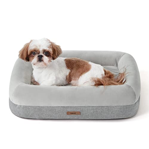 Lesure Bamboo Charcoal Memory Foam Dog Bed - Orthopedic Dog Bed Washable for Small Dogs Made with CertiPUR-US® Certified Foam, Bolster Pet Bed with Removable Washable Cover and Waterproof Lining, Grey
