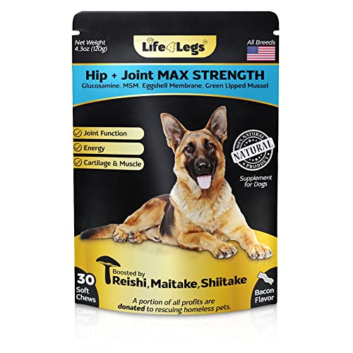 Life4Legs - Soft Chews Hip and Joint Supplement for Dogs - Dog Joint Pain Relief Treats - Glucosamine, Chondroitin, Turmeric, MSM - Hemp Oil Mobility Supplement with Green Lipped Mussels