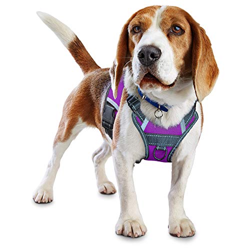 LMOBXEVL Service Dog Harness,No-Pull Dog Harness with Handle Adjustable Reflective Pet Dog in Training Vest Harness,Easy Control for Small Medium Large Breed Outdoor Walking Hiking