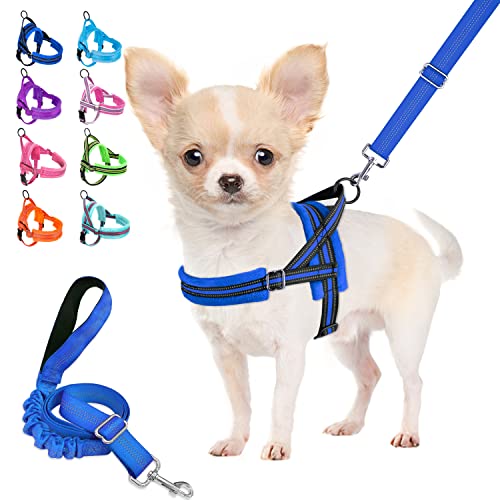 Lukovee Walking Dog Harness and Leash, Heavy Duty Adjustable Puppy Harness Soft Padded Reflective Vest Harness Anti-Twist 4FT Pet Lead Quick Fit Lightweight for Small Dog Cat (Small, Blue)