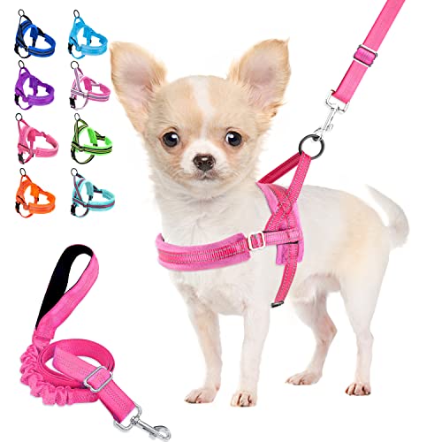 Lukovee Walking Dog Harness and Leash, Heavy Duty Adjustable Puppy Harness Soft Padded Reflective Vest Harness Anti-Twist 4FT Pet Lead Quick Fit Lightweight for Small Dog Cat (XX-Small, Pink)