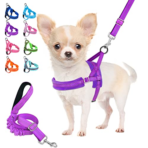 Lukovee Walking Harness and Leash, Heavy Duty Adjustable Puppy Soft Padded Reflective Vest Harness Anti-Twist 4FT Pet Lead Quick Fit Lightweight for Small Dog Cat (XX-Small, Purple)