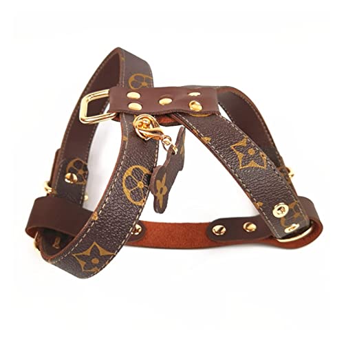 Luxury Dog Collar Leash Set Harness Designer Small and Medium-Sized Dog Pet Collar Pug Chihuahua Adjustable Dog Collar Set Strong Protection Safe pet Leash (Color : Harness, Size : XL)