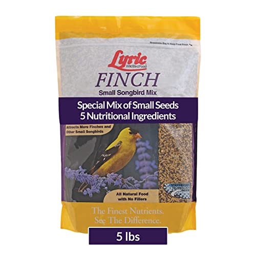 Lyric Finch - Small Songbird Wild Bird Seed - Attracts Goldfinches, House Finches, Purple Finches & More - 5 lb. Bag