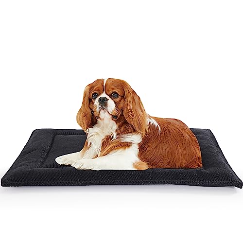 MABOZOO Indestructible Dog Bed for Aggressive Chewers,Tough Chew Proof Dog Crate Pad for Large Dog,Black Durable Dog Mat for Kennel,Machine Washable,22x35 in