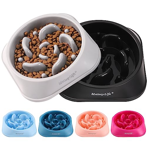 Top Paw Elevated Dog Feeder