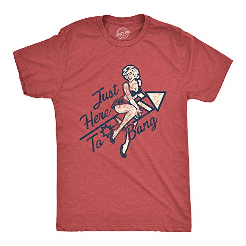 Mens Just Here to Bang Tshirt Funny Firework Pin Up Model USA Graphic Tee Crazy Dog Men's Novelty T-Shirts for Fourth of July Perfect Adult Gift Soft Comfortable Funny T Shirts Heather Red XXL