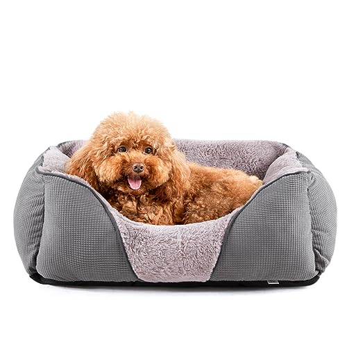 MIXJOY Dog Beds for Small Dogs, Cat Beds for Indoor Cats Washable, Calming Dog Bed Small Size Dog, Soft Rectangle Pet Beds Sofa Cuddler, Orthopedic Cozy Puppy Bed, Anti-Slip Bottom(20x19in, Grey)