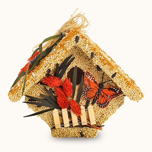 Mr. Bird All Season Wren Casita Wild Bird Seed Birdhouse 1.5 lbs.