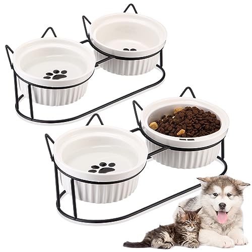 Timed Pet Feeder For Cats