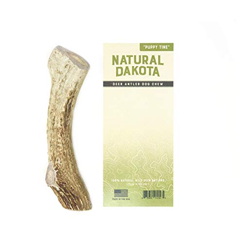 Natural Dakota Premium Deer Antler Chew Toys (Medium) Puppy Tine