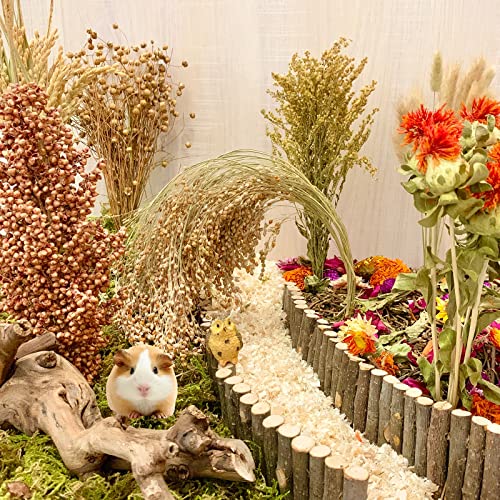 Natural Hamster Bedding Edible Flowers Herbs Sprays Treat Cereal Grain For Cage Habitat Enclosure Decor Hamster Chews For Dwarf Syrian Gerbils Mice Mouse Rat Forage Pet Hamster Accessories Supplies