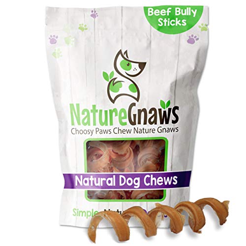 Nature Gnaws Bully Stick Springs for Dogs - Premium Natural Beef Dental Bones - Long Lasting Curly Dog Chew Treats for Aggressive Chewers - Rawhide Free 6 Count (Pack of 1)