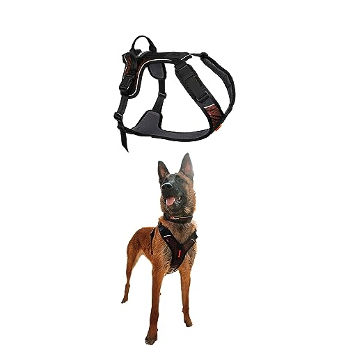 Non-stop dogwear Rock Harness Adjustable Dog Harness for Medium Dogs with 3 Leash Clips, Handle and Reflective, Black/Orange, Size M