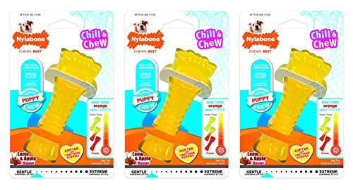 Nylabone 3 Pack of Chill and Chew Bones, Regular, Frozen Puppy Teething Toys