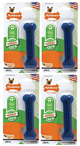 Nylabone (4 Pack) Dental Chew Bone