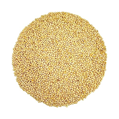 Olympus Myco Premium White Proso Millet, Unhulled, Bulk Seeds, Bird Feed, Wild Bird Food (10 lbs)