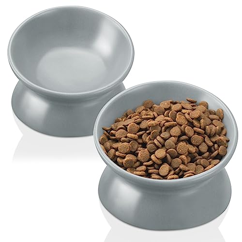 PAILUOMU Ceramic Raised Cat Bowl, Set 2 Tilted Elevated Pet Food and Water Bowls, Stress Free Cat Dog Feeder Dish, Suitable for Small, Medium Cats and Dogs,Gray