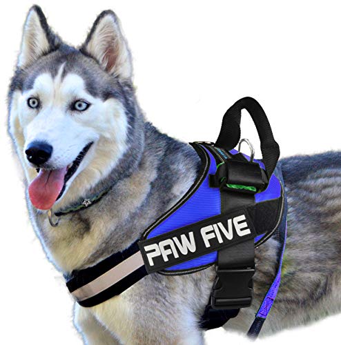 Paw Five CORE-1 Dog Harness, Reflective No-Pull with Built-in Waste Bag Dispenser, Fully Adjustable with Padded Control Handle for Medium and Large Dogs, (Medium (Girth: 27" - 32"), Sky Blue)…