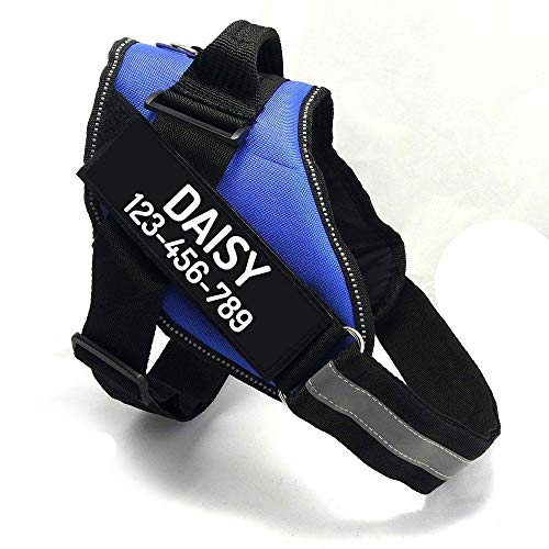 PawPawify Custom No Pull Dog Harness with Name and Phone Number, Heavy Duty Personalized Pet Vest to Prevent Tugging, Pulling, or Choking, Training and Walking