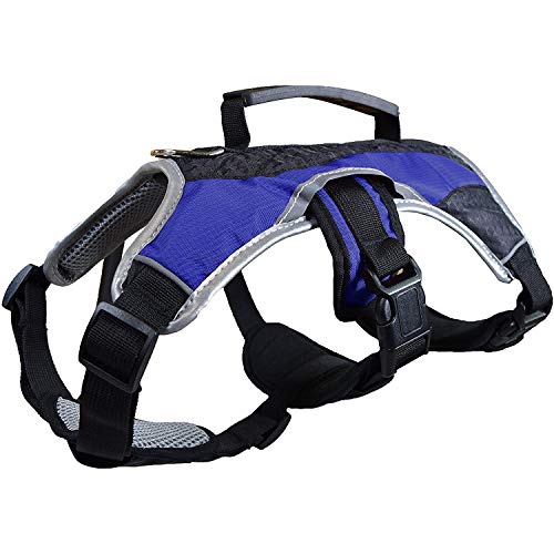 Peak Pooch - No-Pull Dog Harness - Padded, Mesh Fabric Dog Vest with Reflective Trim, Lifting Handles, Velcro and Buckle Straps - Blue Dog Harness - XS