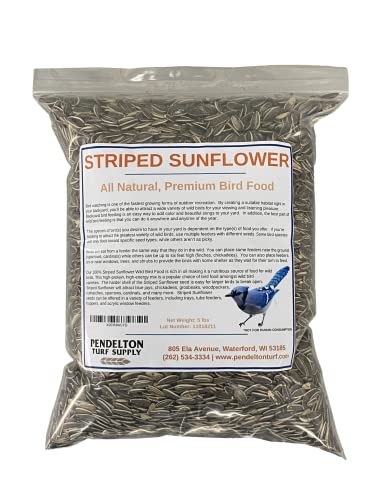 Pendelton Turf Supply Striped Sunflower | All-Natural, Premium Bird Food (5 lb Resealable Bag)