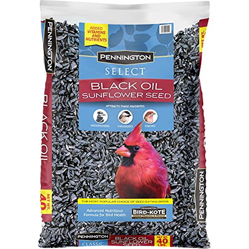 Pennington Bird Seed 40 Lbs 2024 - Vet Ranch - We Love Pets