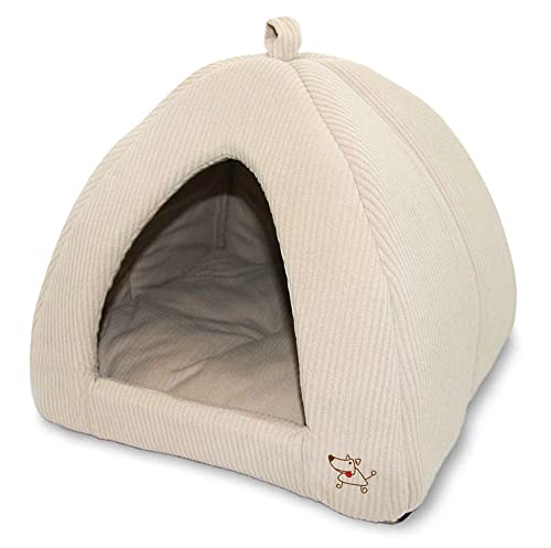 Best Bed For Dog With Back Problems