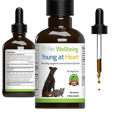 Pet Wellbeing Young at Heart for Dogs - Vet-Formulated - Supports Heart (Cardiovascular) Health - Natural Herbal Supplement 2 oz (59 ml.)