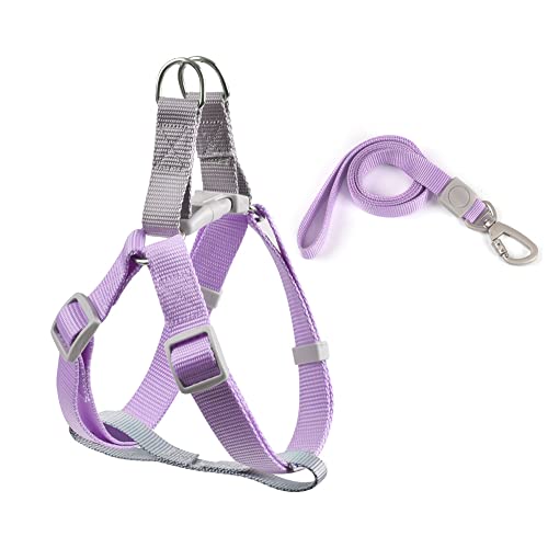 Pet Wellness Dog Leash & Harness Set - Easy Walk & No Pull Collars for Puppies, Chihuahua, American Eskimo Dog, Biewer Terriers, Maltese, Poodles Toy, Yorkshire Terriers. Violet Color, S Size