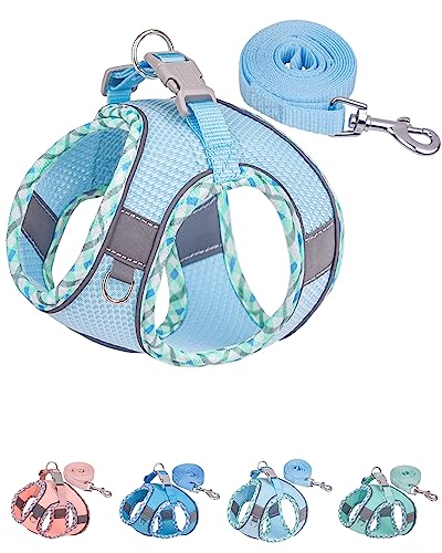 Petank Dog Harness for Small Medium Dogs No Pull, Puppy Harness and Leash Set, Easy Walk Dog Harness for Walking, Running, Training, Small Dog Harness, Medium Dog Harness (Light Blue, XXS)