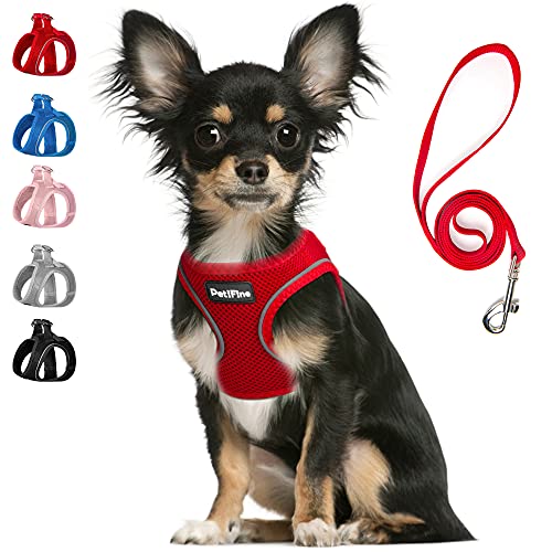 PetiFine Step in Small Dog Harness and Leash Set, Breathable All Weather Air Mesh Reflective Escape Proof, Step-in Vest Harnesses for Puppy(XS, Red)