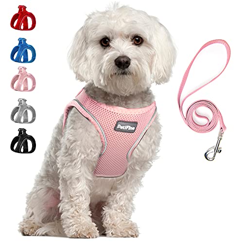 PetiFine Step in Small Dog Harness and Leash Set, Breathable All Weather Air Mesh Reflective Escape Proof, Step-in Vest Harnesses for Puppy(S, Pink)