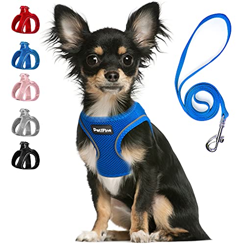 PetiFine Step in Small Dog Harness and Leash Set, Breathable All Weather Air Mesh Reflective Escape Proof, Step-in Vest Harnesses for Puppy(XS, Baby Blue)