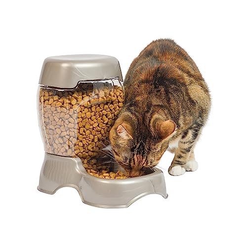 Petmate Pet Cafe Feeder Dog and Cat Feeder Pearlescent Colors 3 Sizes, Made in USA