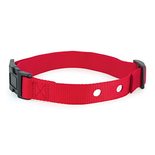 PetSafe 1 Inch Replacement Collar Strap with 2 Holes, for Wireless Fence and In-Ground Fence Collars - Red