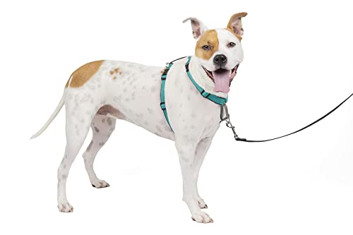 PetSafe 3 in 1 No-Pull Dog Harness - Walk, Train or Travel - Helps Prevent Pets from Pulling on Walks - Seatbelt Loop Doubles as Quick Access Handle - Reflective Accents - Medium, Teal