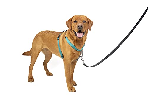 PetSafe 3 in 1 No-Pull Dog Harness - Walk, Train or Travel - Helps Prevent Pets from Pulling on Walks - Seatbelt Loop Doubles as Quick Access Handle - Reflective Accents - Large, Teal