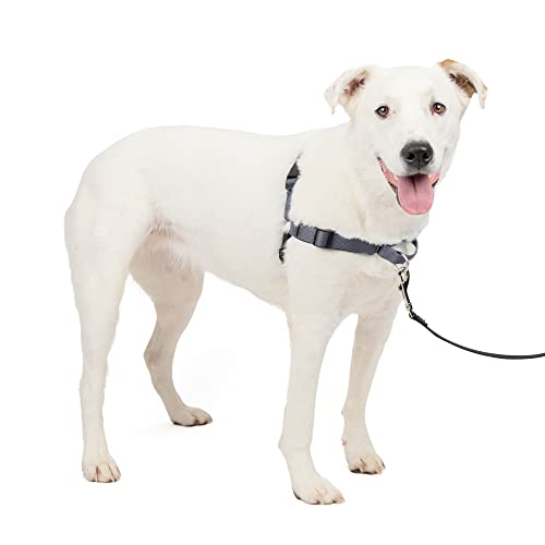 PetSafe Easy Walk Deluxe Dog Harness, No Pull Dog Harness – Perfect for Leash & Harness Training – Stops Pets from Pulling and Choking on Walks – Medium/Large, Steel